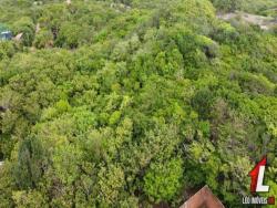 #T-252 - Terreno para Venda em Tibau do Sul - RN
