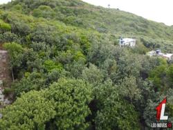 Terreno para Venda em Tibau do Sul - 4