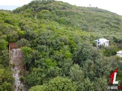 Terreno para Venda em Tibau do Sul - 5