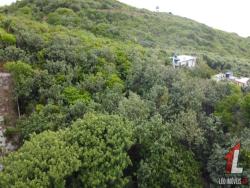 Terreno para Venda em Tibau do Sul - 5
