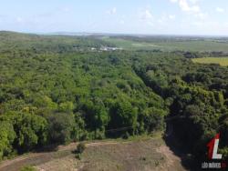 Terreno para Venda em Vila Flor - 4