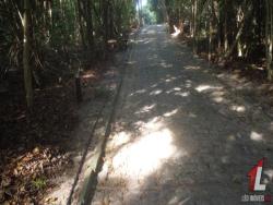 #T-271 - Terreno para Venda em Tibau do Sul - RN