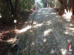 Terreno para Venda em Tibau do Sul - 5