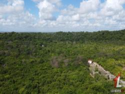 #T-272 - Terreno para Venda em Tibau do Sul - RN