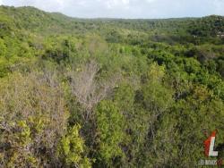 #T-274 - Terreno para Venda em Tibau do Sul - RN