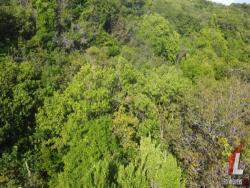 Terreno para Venda em Tibau do Sul - 4