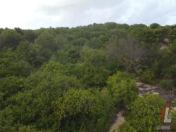 #T-278 - Terreno para Venda em Tibau do Sul - RN