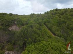 #T-278 - Terreno para Venda em Tibau do Sul - RN