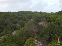 Terreno para Venda em Tibau do Sul - 4