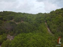 Terreno para Venda em Tibau do Sul - 5