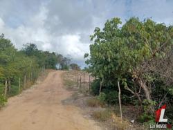 Terreno para Venda em Tibau do Sul - 4