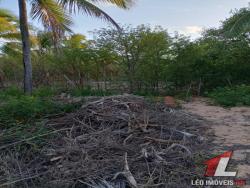 Terreno para Venda em Tibau do Sul - 4