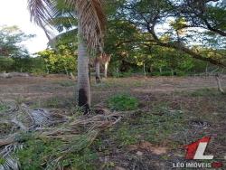 Terreno para Venda em Tibau do Sul - 5