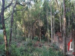 Terreno para Venda em Tibau do Sul - 2