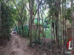 Terreno para Venda em Tibau do Sul - 4