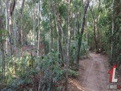 Terreno para Venda em Tibau do Sul - 5