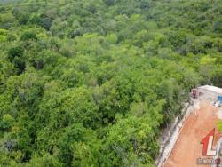 #T-289 - Terreno para Venda em Tibau do Sul - RN