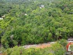 Terreno para Venda em Tibau do Sul - 5