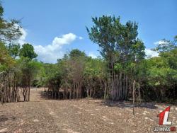 #T-143 - Terreno para Venda em Tibau do Sul - RN