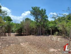 Terreno para Venda em Tibau do Sul - 4