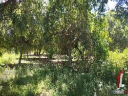 Terreno para Venda em Vila Flor - 5