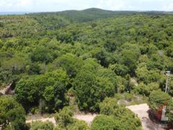 Terreno para Venda em Vila Flor - 4