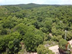 Terreno para Venda em Vila Flor - 5