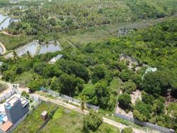 Terreno para Venda em Vila Flor - 4