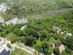 Terreno para Venda em Vila Flor - 5