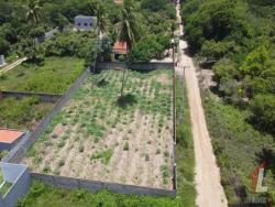 Terreno para Venda em Vila Flor - 4