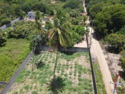 Terreno para Venda em Vila Flor - 5