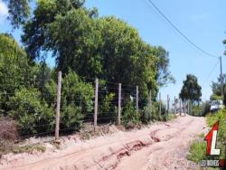 #T-248 - Terreno para Venda em Tibau do Sul - RN