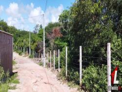 Terreno para Venda em Tibau do Sul - 4