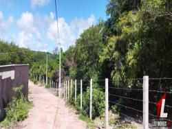 Terreno para Venda em Tibau do Sul - 5