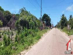 Terreno para Venda em Tibau do Sul - 4