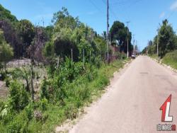 Terreno para Venda em Tibau do Sul - 5