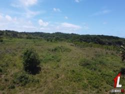 #T-298 - Terreno para Venda em Tibau do Sul - RN