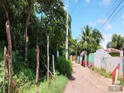 Terreno para Venda em Tibau do Sul - 4