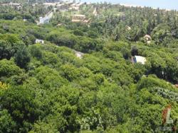 #T-050 - Terreno para Venda em Tibau do Sul - RN