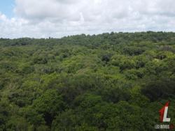 #T-060 - Terreno para Venda em Tibau do Sul - RN