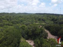 Terreno para Venda em Tibau do Sul - 4