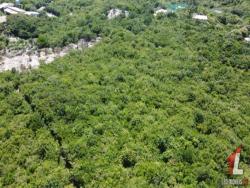 #T-080 - Terreno para Venda em Tibau do Sul - RN