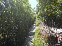 Terreno para Venda em Tibau do Sul - 5