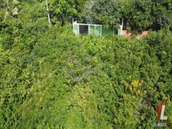 Terreno para Venda em Tibau do Sul - 5