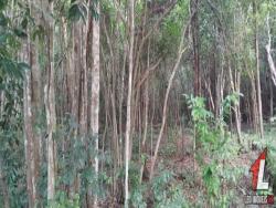 #T-052 - Terreno para Venda em Tibau do Sul - RN