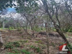 Terreno para Venda em Tibau do Sul - 4