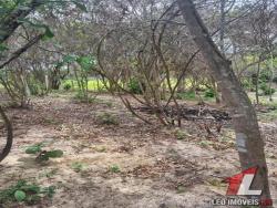 Terreno para Venda em Tibau do Sul - 5