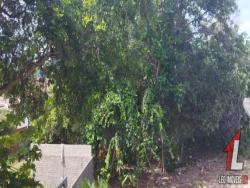 Terreno para Venda em Tibau do Sul - 5