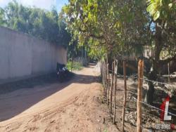 #T-313 - Terreno para Venda em Tibau do Sul - RN