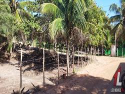 #T-313 - Terreno para Venda em Tibau do Sul - RN